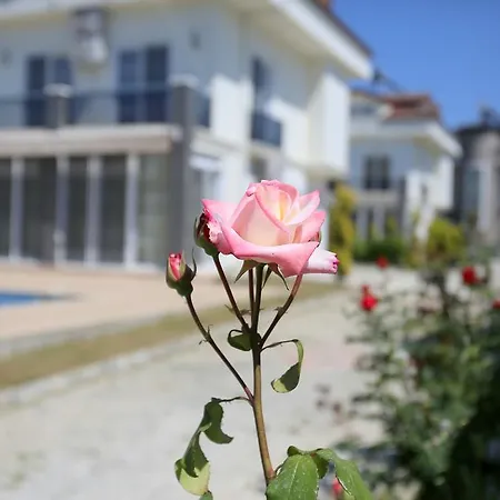 Lighthouse Rima Villas Villa *